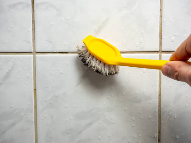 Home Mold Removal in Lyndhurst, OH